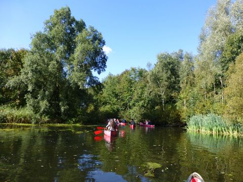 EuroParcs Bad Hulckesteijn - Camping Nijkerk - Image N°33