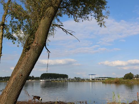 EuroParcs Bad Hulckesteijn - Camping Nijkerk - Image N°29