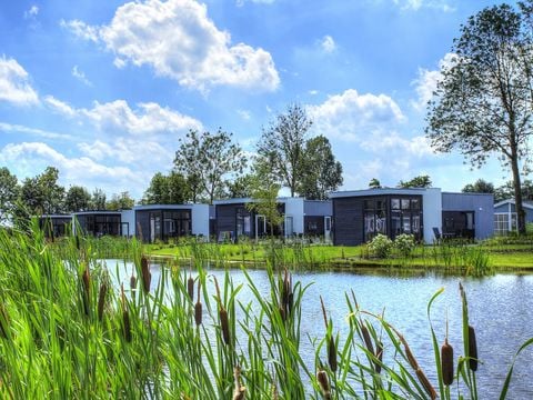 EuroParcs Bad Hulckesteijn - Camping Nijkerk - Image N°32