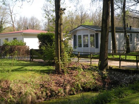 Recreatiepark De Voorst - Camping Noordoostpolder - Image N°20