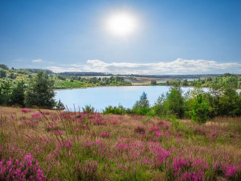 Landal Mooi Zutendaal - Camping Limbourg - Image N°9