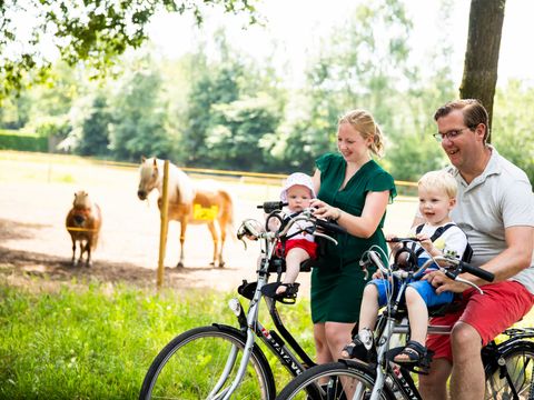 TopParken Résidence de Leuvert - Camping Vught - Image N°12