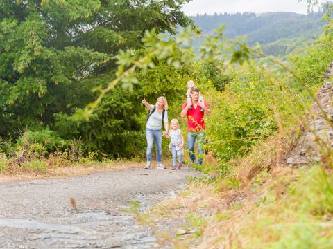 Landal Warsberg - Camping Rhénanie-palatinat - Image N°42