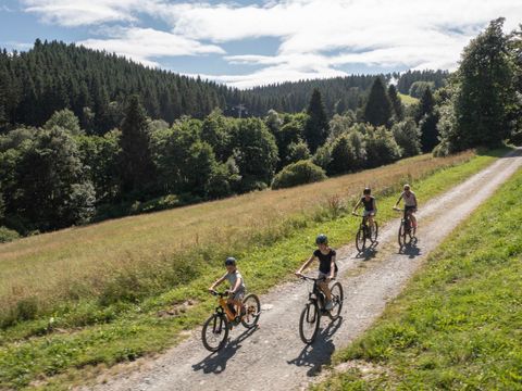 Landal Warsberg - Camping Rhénanie-palatinat - Image N°34