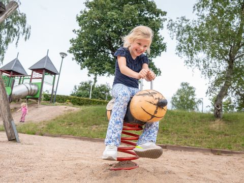 Landal Warsberg - Camping Rhénanie-palatinat - Image N°33