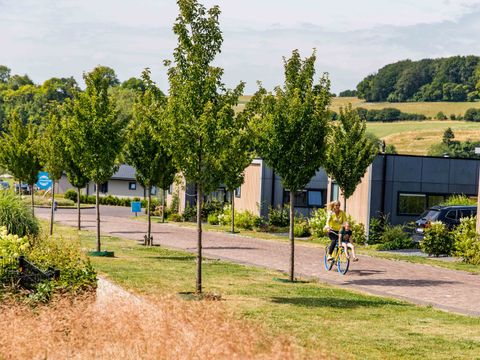 TopParken Résidence Valkenburg - Camping Valkenburg an der Geul - Image N°9