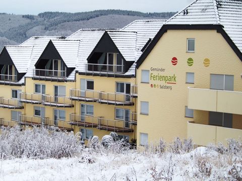 Gemünder Ferienpark Salzberg - Camping Rijnland-Palts - Afbeelding N°5