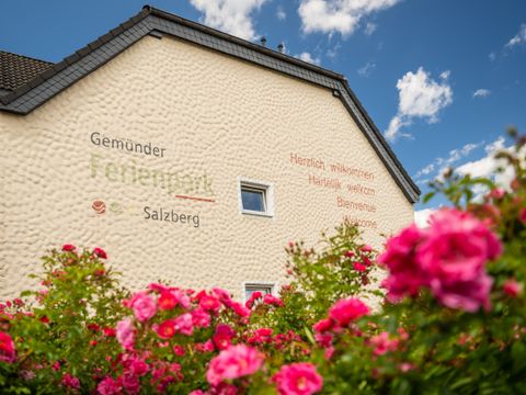 Gemünder Ferienpark Salzberg - Camping Rijnland-Palts - Afbeelding N°0