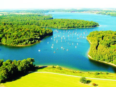 Golden Lakes Village - Camping Hainaut - Image N°38