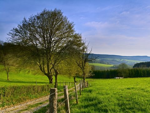 Golden Lakes Village - Camping Hainaut - Image N°23