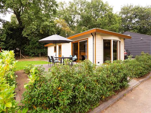 TopParken De Wielerbaan - Camping Wageningen - Image N°20