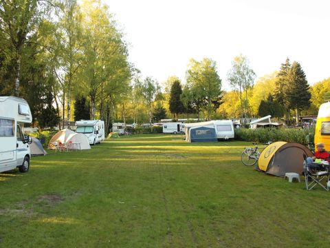 TopParken De Wielerbaan - Camping Wageningen - Image N°21