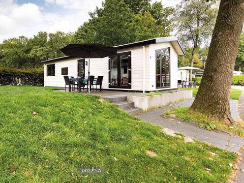 TopParken De Wielerbaan - Camping Wageningen - Image N°71