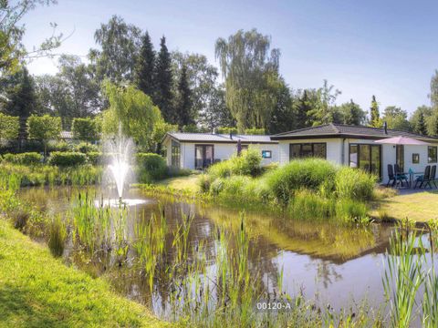 TopParken De Wielerbaan - Camping Wageningen - Image N°57