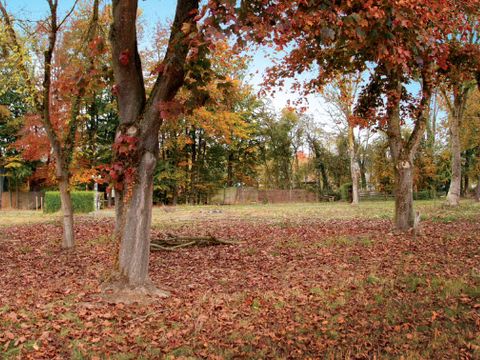 Domaine Moulin d'Hotton - Camping Luxembourg - Image N°7