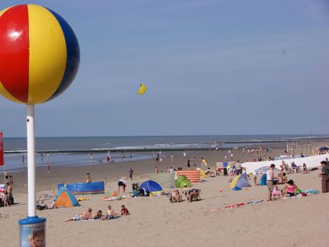 Kompas Camping Nieuwpoort - Camping Flandre Occidentale - Image N°9