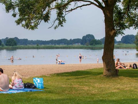 Molecaten Park De Agnietenberg - Camping Zwolle - Image N°5