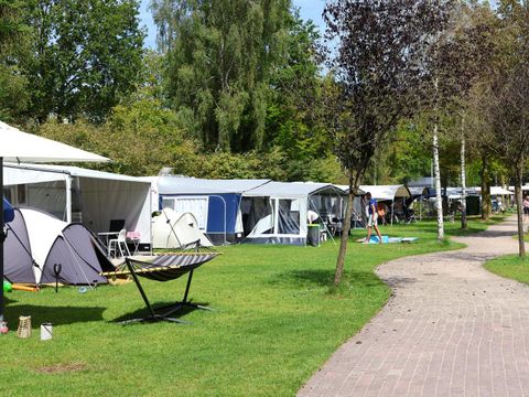 Vakantiepark Ackersate - Camping Barneveld - Image N°16