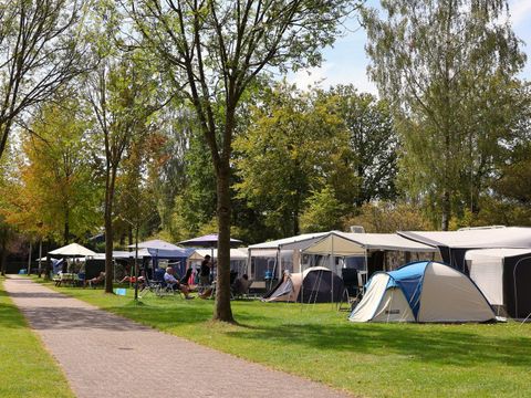 Vakantiepark Ackersate - Camping Barneveld - Image N°15