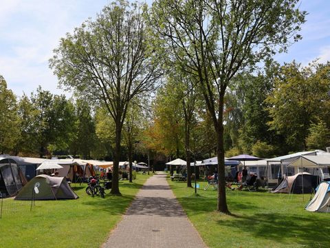 Vakantiepark Ackersate - Camping Barneveld - Image N°18