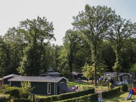 Vakantiepark Bonte Vlucht - Camping Utrecht - Image N°4