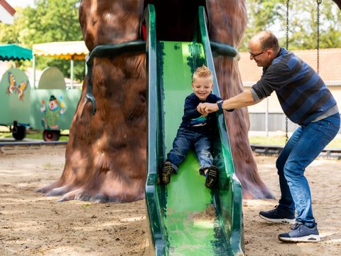 Recreatiepark de Tien Heugten - Camping Aa und Hunze - Afbeelding N°5