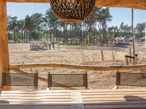 Safari Resort Beekse Bergen - Camping Hilvarenbeek - Image N°15