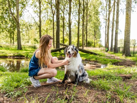 TopParken Parc de IJsselhoeve - Camping Zuidplas - Image N°24