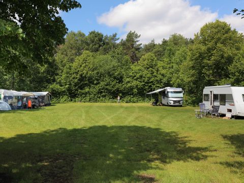 Camping Baalse Hei - Camping Antwerpen - Afbeelding N°5