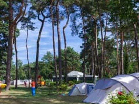 EuroParcs Zilverstrand - Camping Anvers - Image N°62