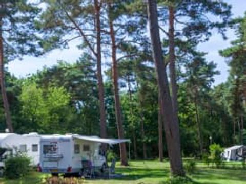 EuroParcs Zilverstrand - Camping Anvers - Image N°66