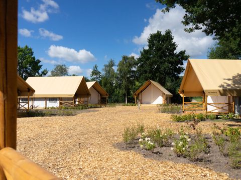 EuroParcs Zilverstrand - Camping Anvers - Image N°27