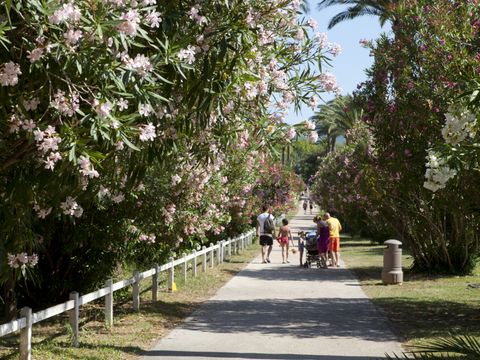 Pierre & Vacances Résidence Les Parcs de Grimaud - Camping Var - Image N°7