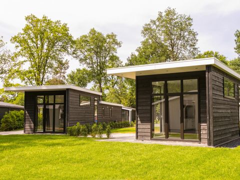 Bospark Markelo - Camping Hof van Twente - Afbeelding N°5