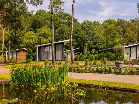 Bospark Markelo - Camping Hof van Twente - Image N°5