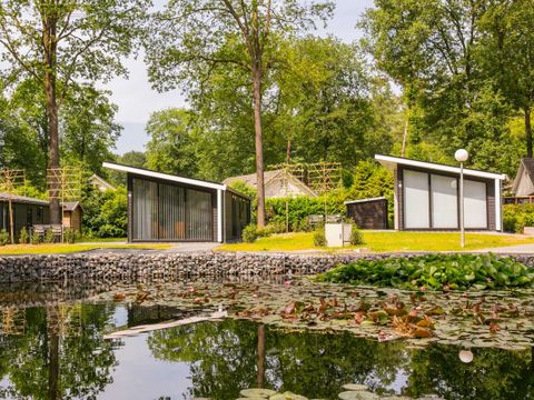 Bospark Markelo - Camping Hof van Twente - Image N°7