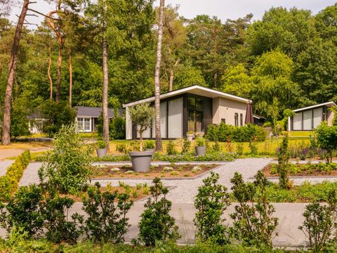 Bospark Markelo - Camping Hof von Twente - Image N°8