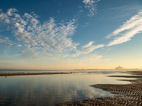 Verblijfpark Beachside - Camping West-Vlaanderen - Image N°55