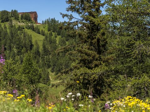 Pierre & Vacances Premium Résidence Les Hauts Bois - Camping Savoie - Image N°14