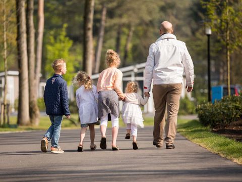 TopParken Recreatiepark Beekbergen - Camping Apeldoorn - Image N°33