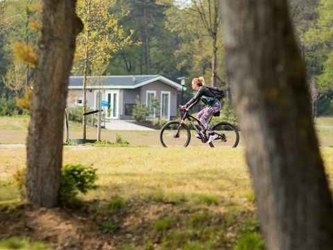 TopParken Recreatiepark Beekbergen - Camping Apeldoorn - Image N°32