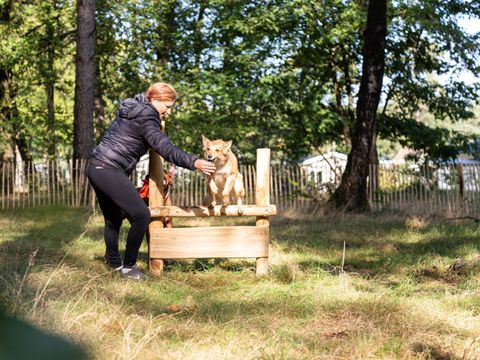 TopParken Recreatiepark Beekbergen - Camping Apeldoorn - Image N°37