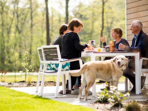 TopParken Recreatiepark Beekbergen - Camping Apeldoorn - Image N°15