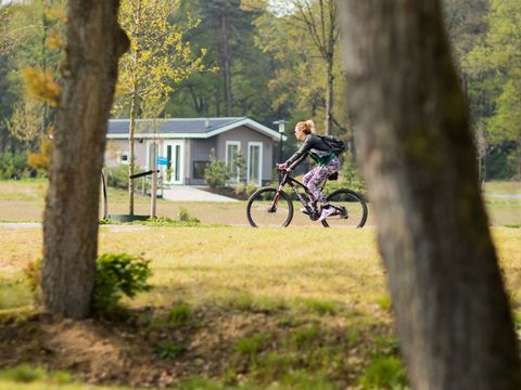 TopParken Recreatiepark Beekbergen - Camping Apeldoorn - Image N°32