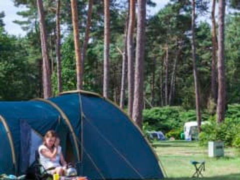 EuroParcs De Wije Werelt - Camping Ede - Image N°61