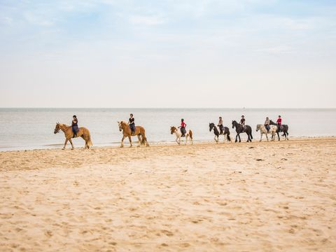 Landal Vlieduyn - Camping Vlieland - Image N°26