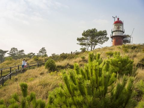 Landal Vlieduyn - Camping Vlieland - Image N°7