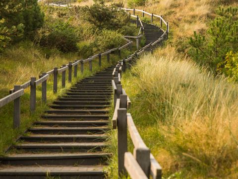 Landal Vlieduyn - Camping Vlieland - Image N°27