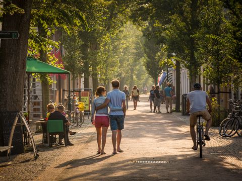 Landal Vlieduyn - Camping Vlieland - Image N°9