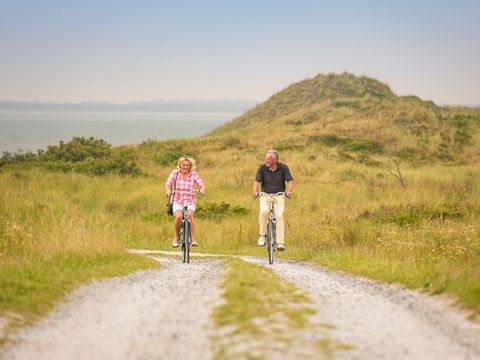 Landal Vlieduyn - Camping Vlieland - Image N°48